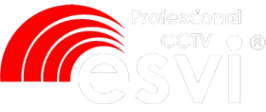 Логотип компании Палладий видеонаблюдение ESVI Ppoxis