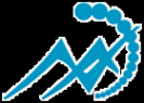 Логотип компании НикоМакс