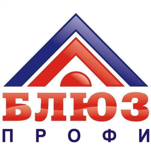 Логотип компании Блюз-Профи
