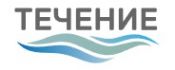 Логотип компании Течение в Саратове