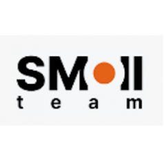 Логотип компании Smollteam